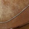 Halsband venezia i 18k vitguld