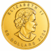 1 oz Canadian Maple Leaf guldmynt 999,9 rent guld