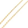 Cordell halsband i 18k guld- ihålig